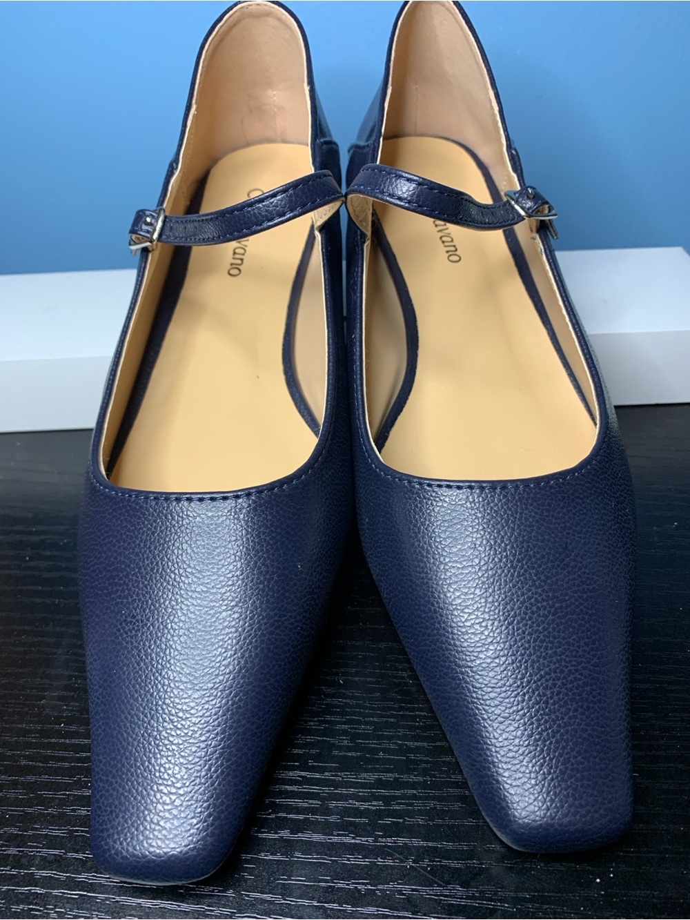 Alva Single-Strap Mary Jane Heels in Navy